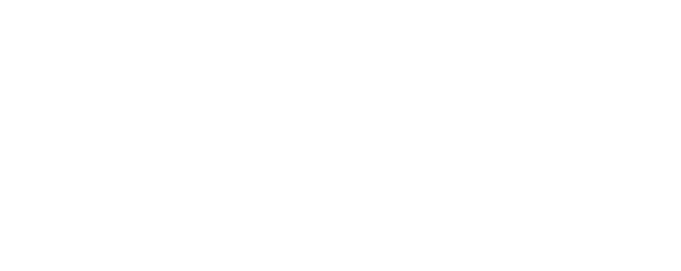 Directa 24